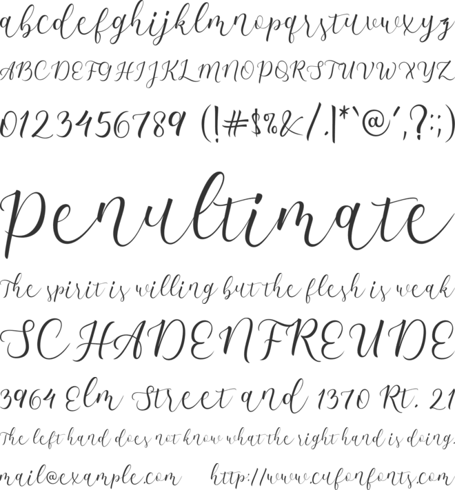 carmila font preview