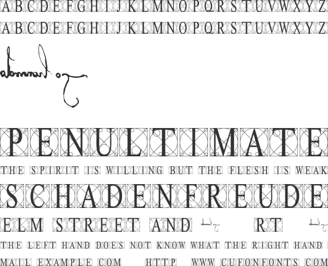 Leonardo (Levi) font preview