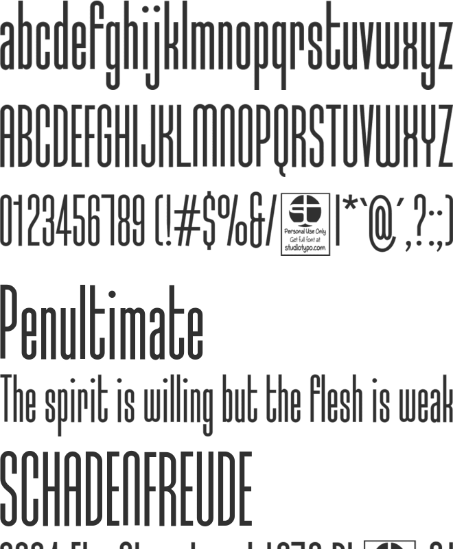 Typo-Longest Demo font preview