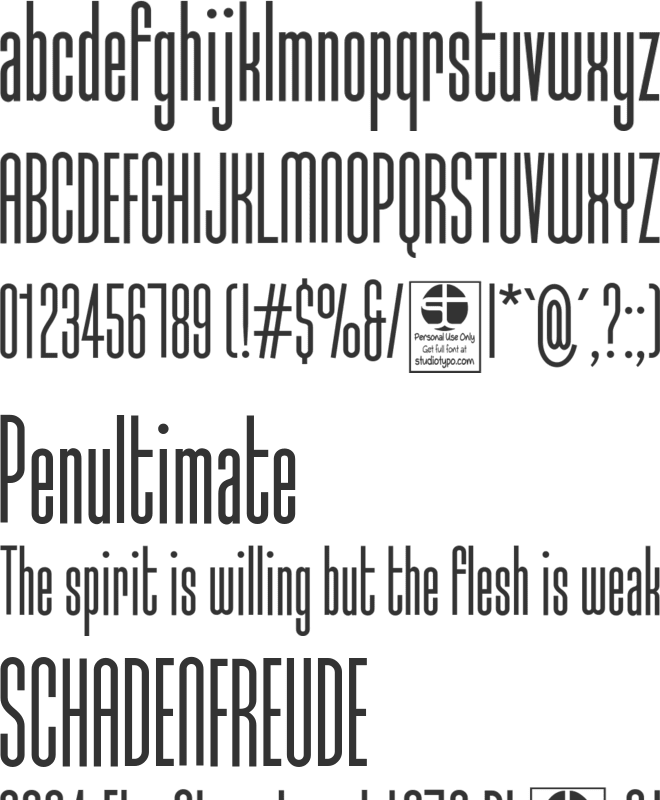 Typo-Longest Demo font preview