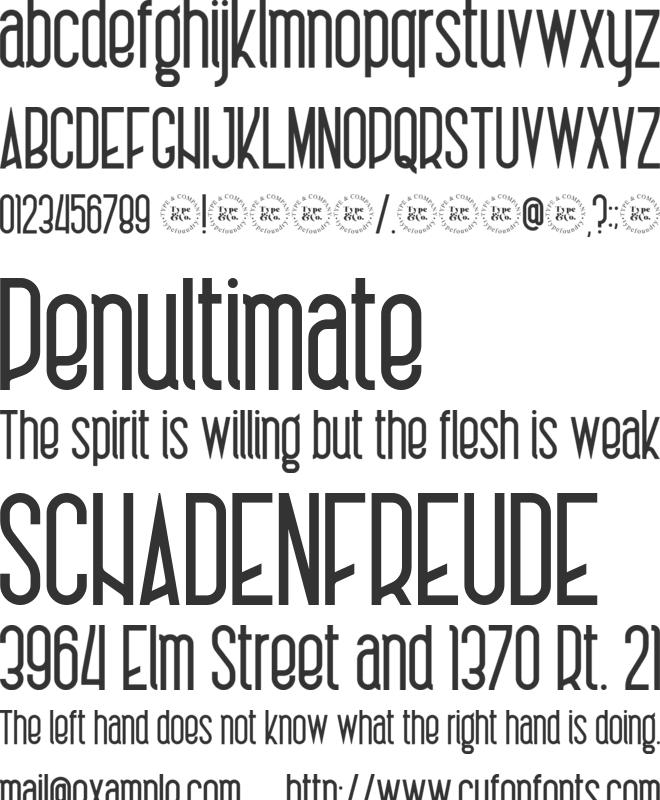 Charlotte sans Demo font preview