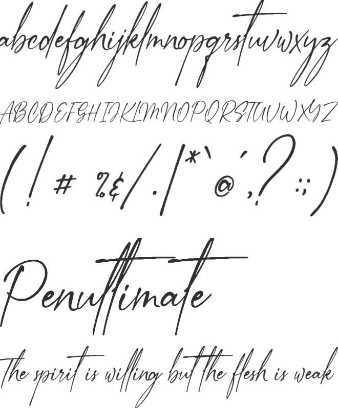Next Southerland Script DEMO font preview