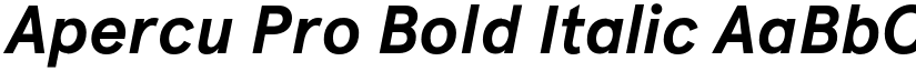 Apercu Pro Bold Italic font