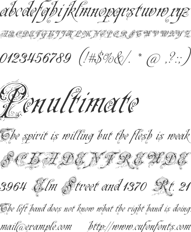 Neue Zier Schrift font preview