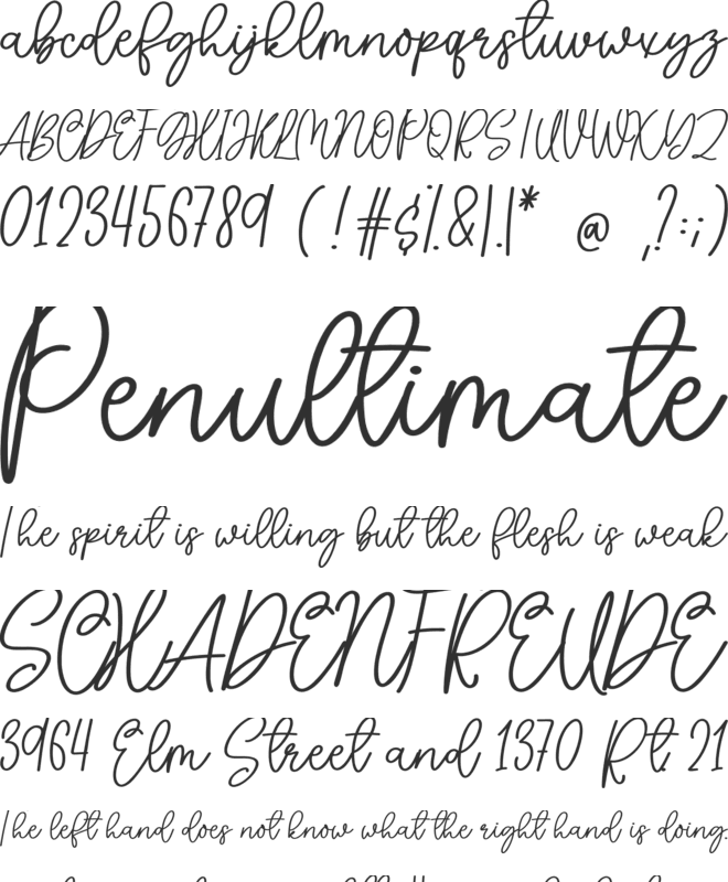 Holiday Farmhouse font preview