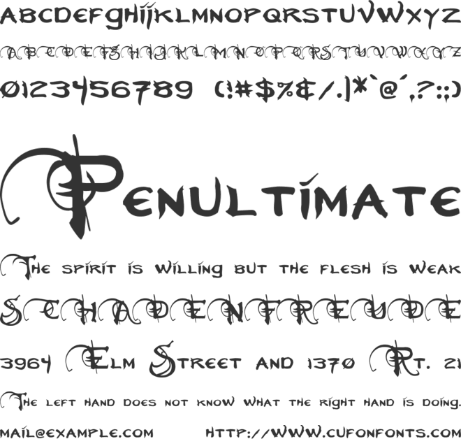 Neverwinter font preview