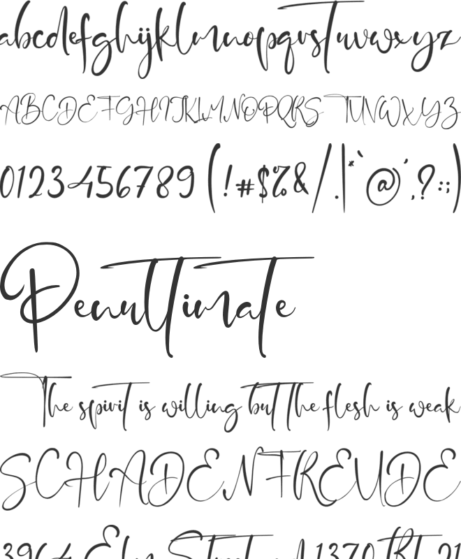 Jordan Script font preview