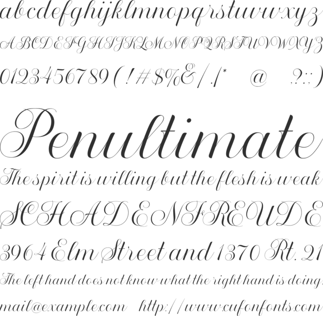 Broted Young plant script font preview