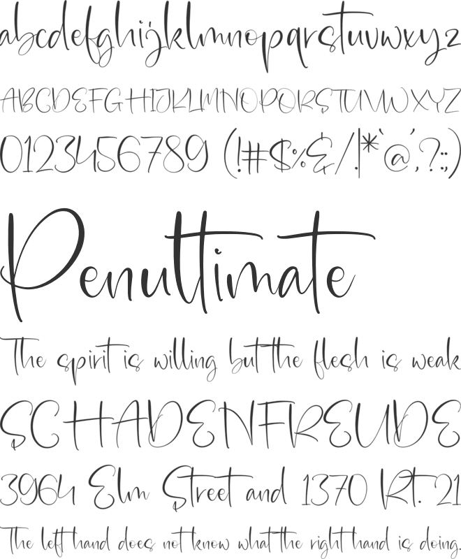 Member December font preview