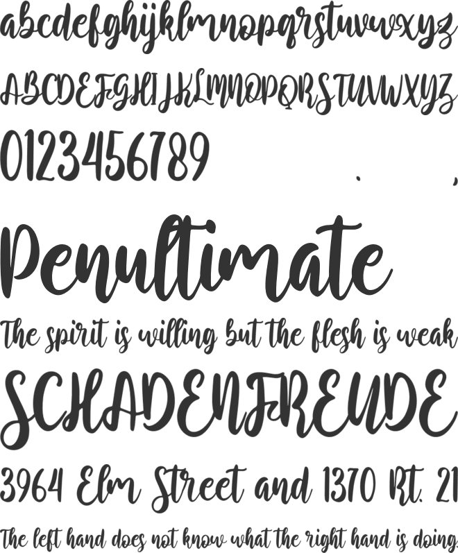Rosetype font preview