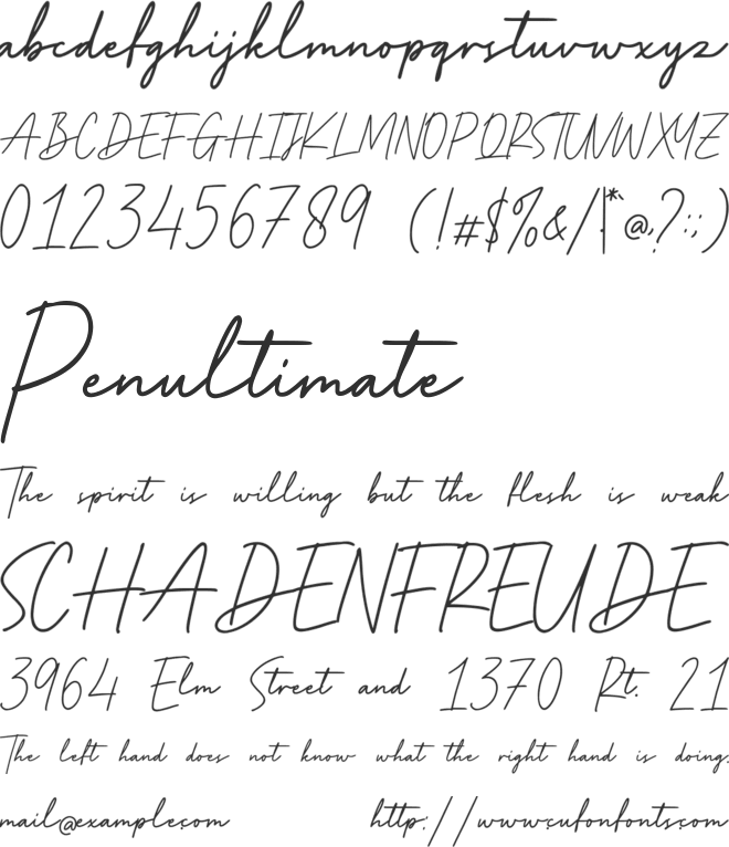 Manly Signature font preview