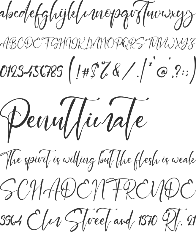 Paradise Script font preview