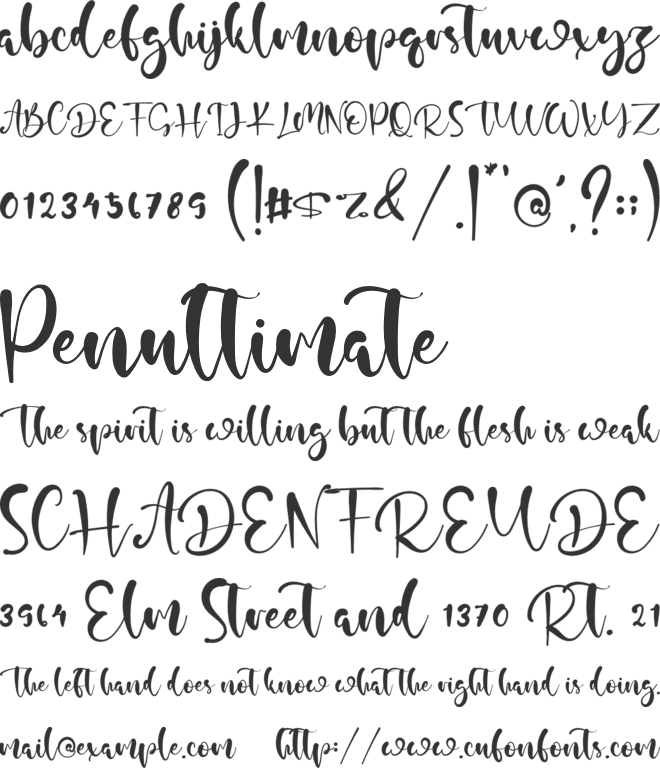 Snow Rain font preview