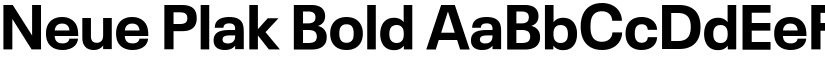 Neue Plak Bold font