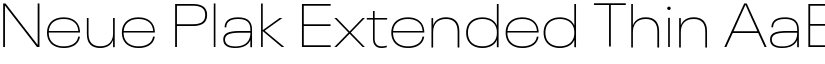 Neue Plak Extended Thin font