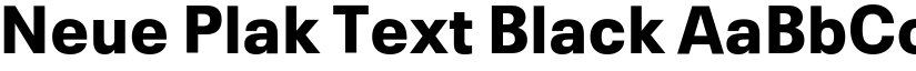 Neue Plak Text Black font