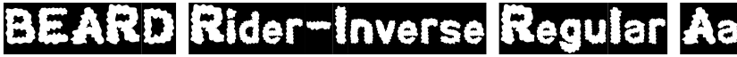 BEARD Rider-Inverse Regular font