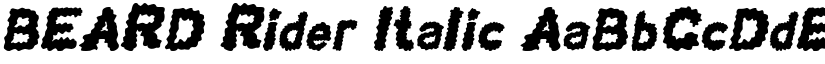 BEARD Rider Italic font