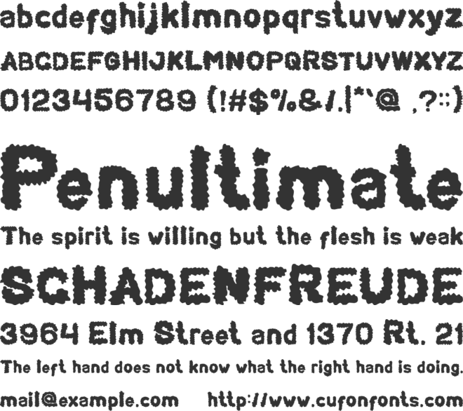 BEARD Rider font preview