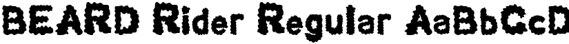 BEARD Rider Regular font