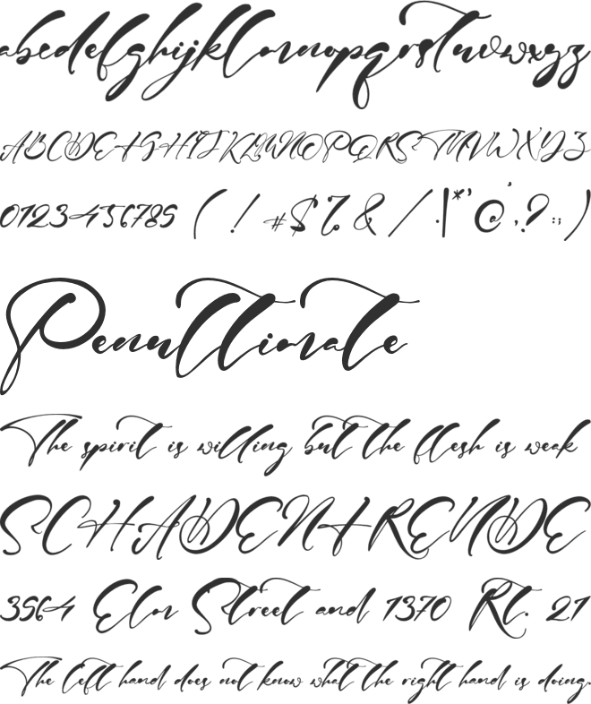 Harvey Signature font preview