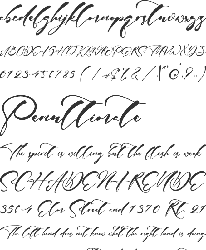 Harvey Signature font preview
