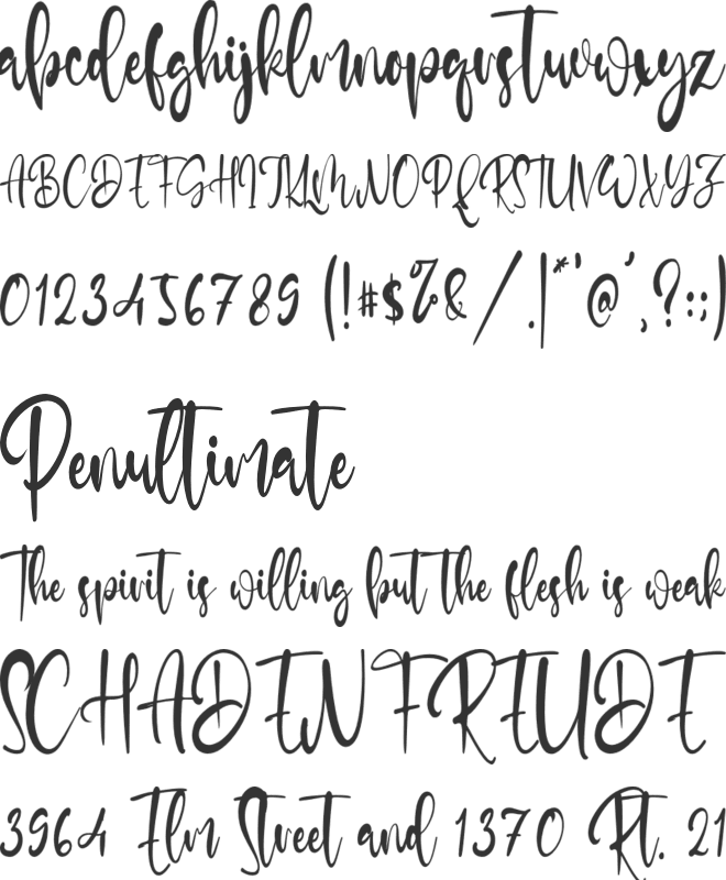 Jackson Miller font preview