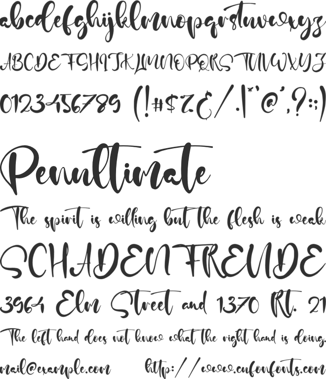 Hot Cocoa font preview