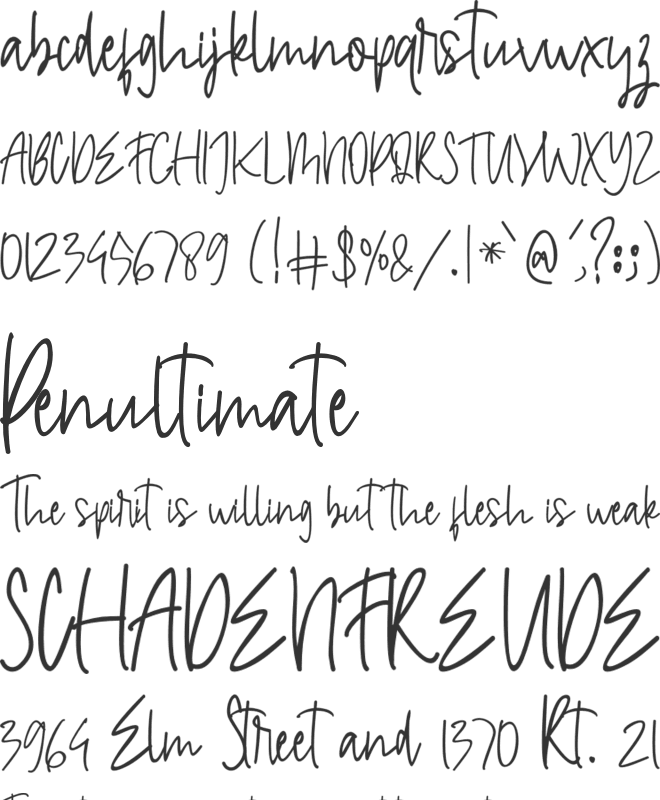 skytears font preview