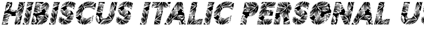 HIBISCUS ITALIC PERSONAL USE Bold Italic font