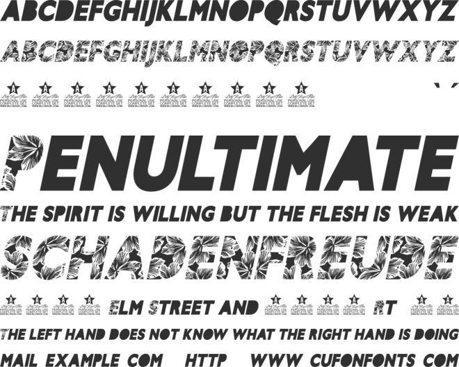 HIBISCUS  PERSONAL USE font preview