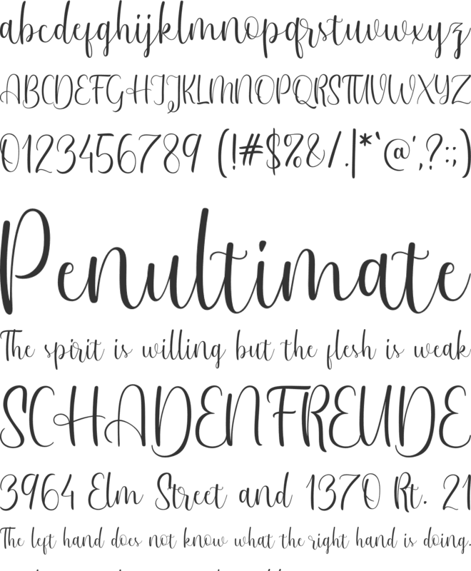 Winsleta font preview