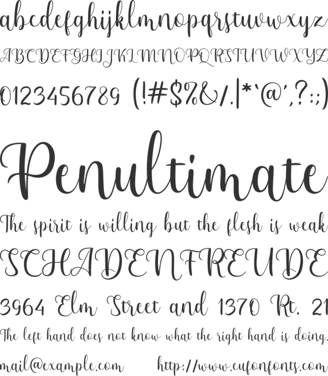molynesa font preview