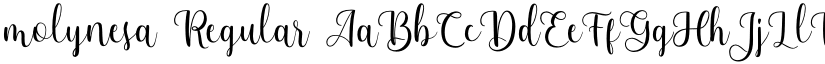 molynesa Regular font