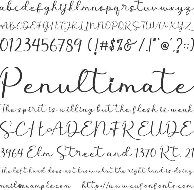 Christmas Season font preview