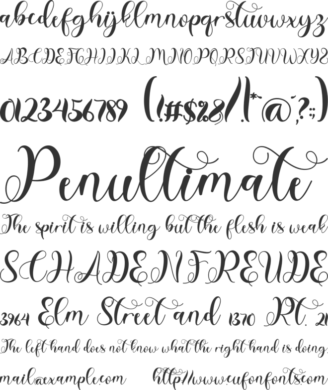 Christmas Shepherd font preview