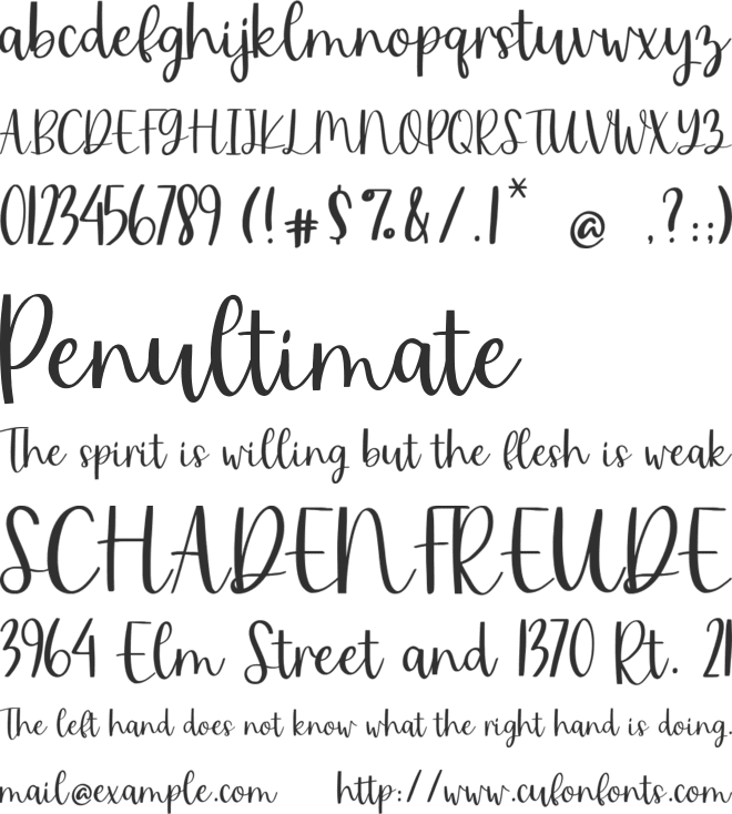 Mister Cookies font preview