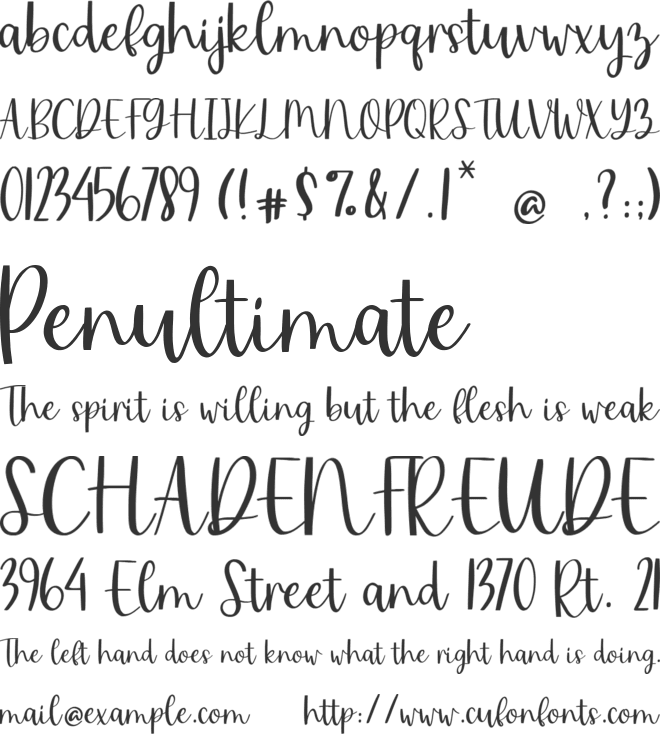 Mister Cookies font preview
