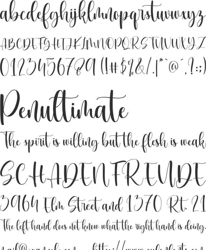 meghan holland font preview