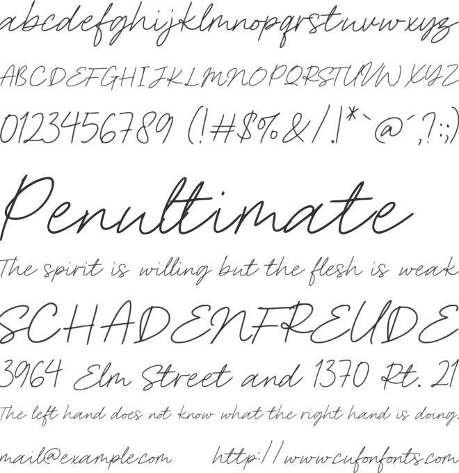 Authoritative font preview