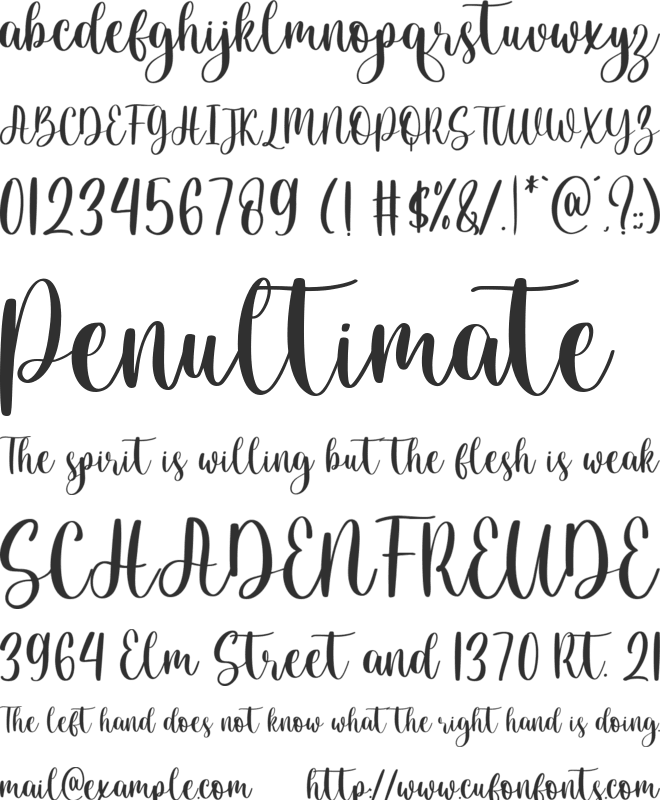 Christmas moments font preview