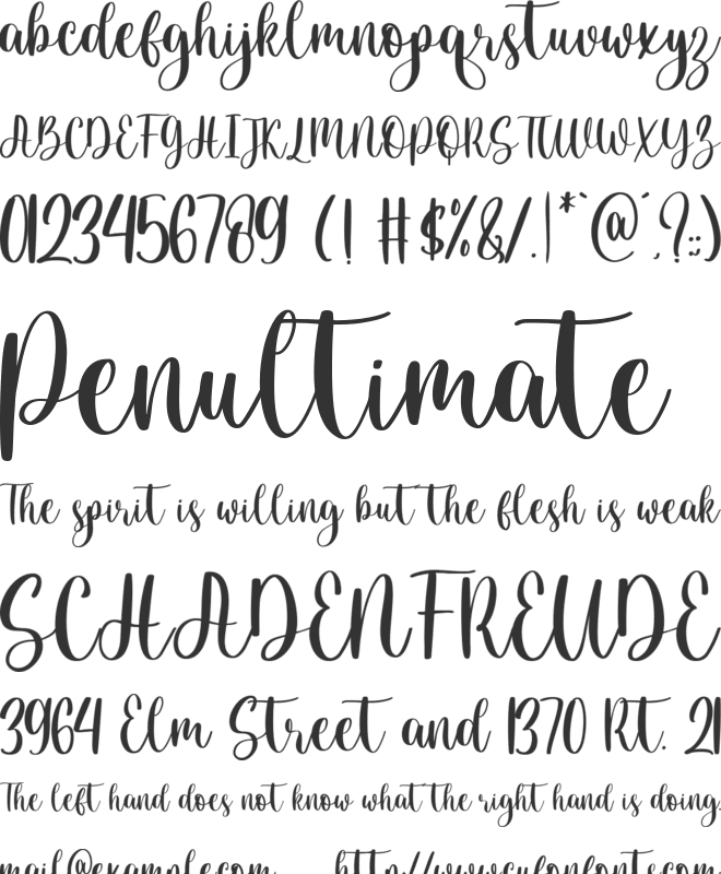 Christmas moments font preview