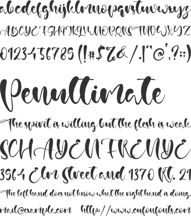 Austin Aiden font preview