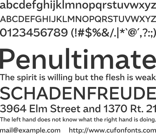 Amica Pro font preview