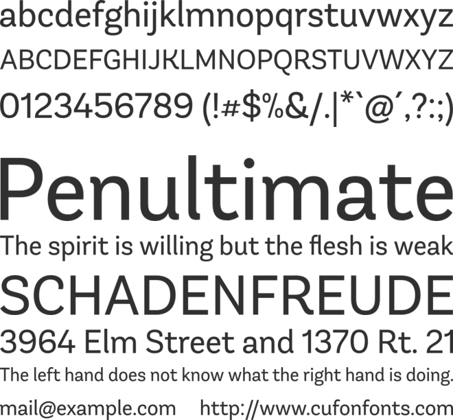 AndesNeue Alt 1 font preview