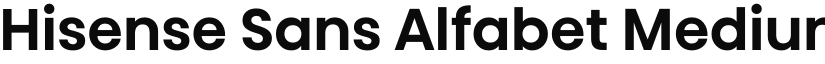 Hisense Sans Alfabet Medium font