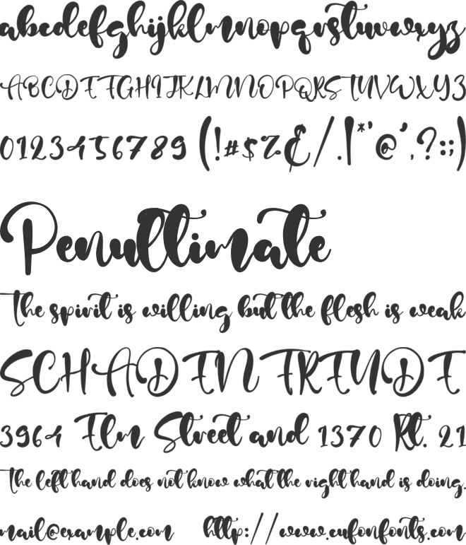 Adam Script font preview