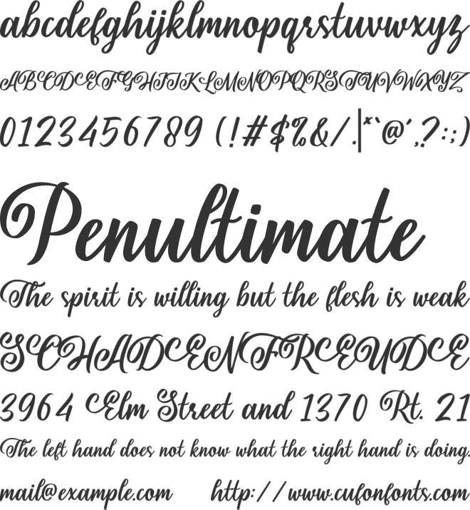 Shielfie font preview