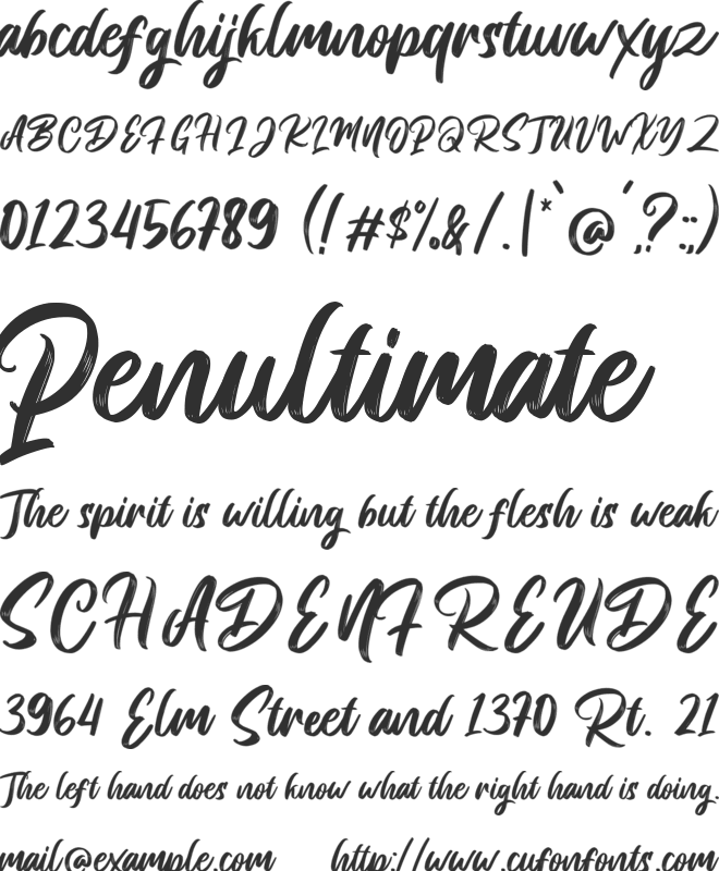 Breaking Pirate font preview