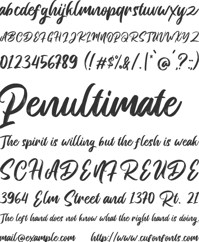 Breaking Pirate font preview